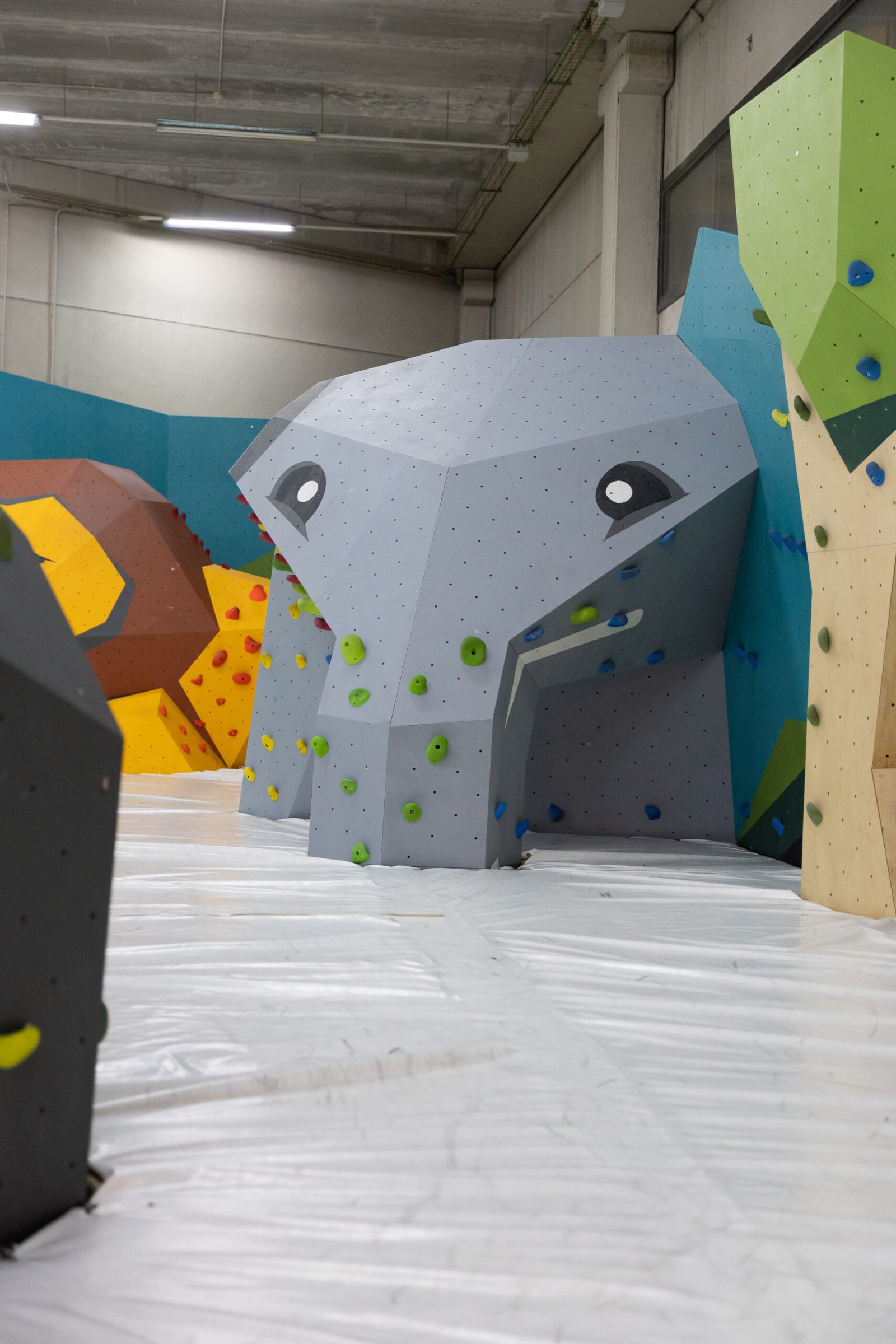 La Jungla, zona infantil de BDN Climb